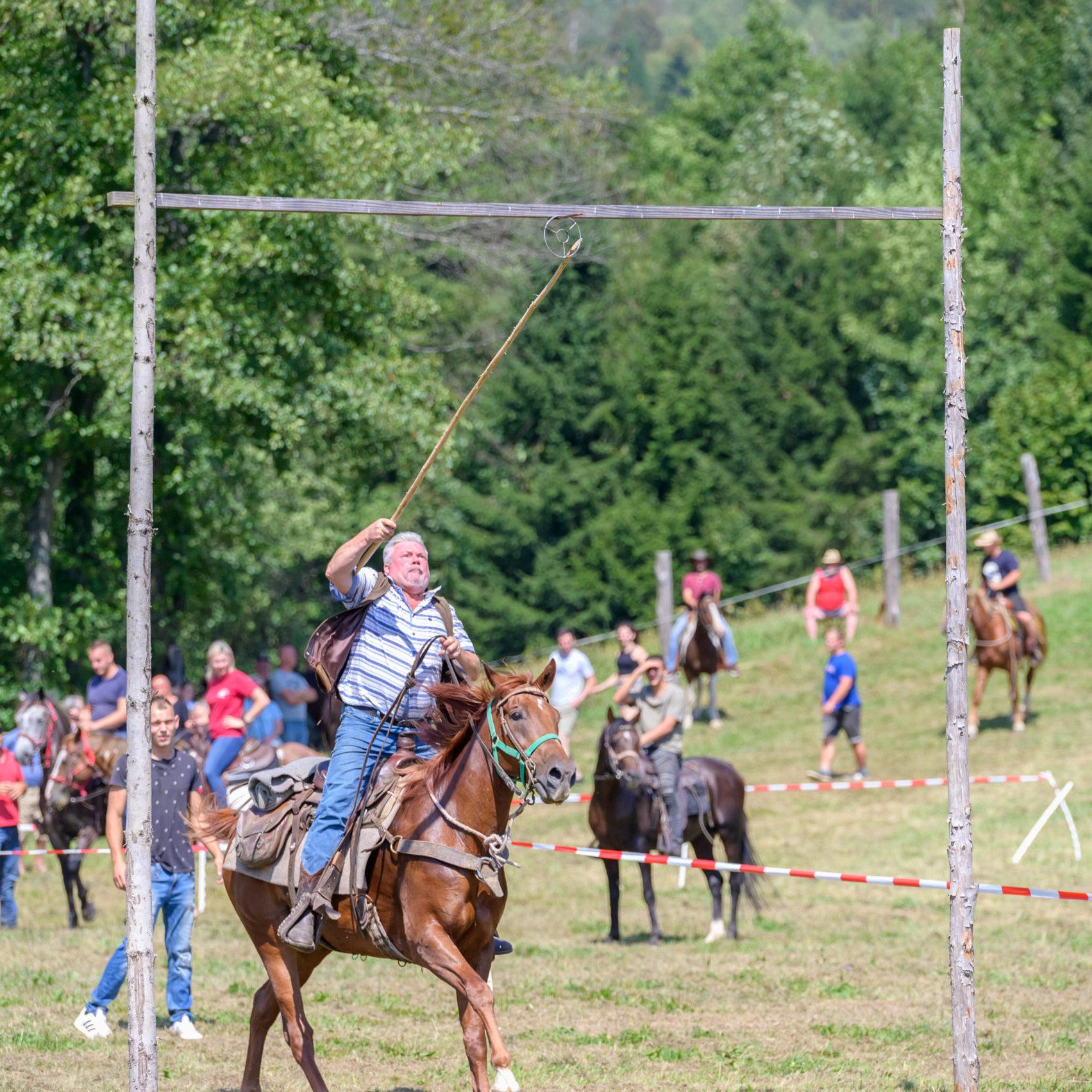 Zaključek poletja na sem'škem placu nedelja, . belokranjska razstava konj Foto Uroš Novina