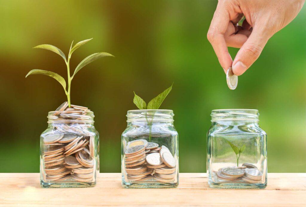 cropped image of hand putting coins in jars with plants abeedbd