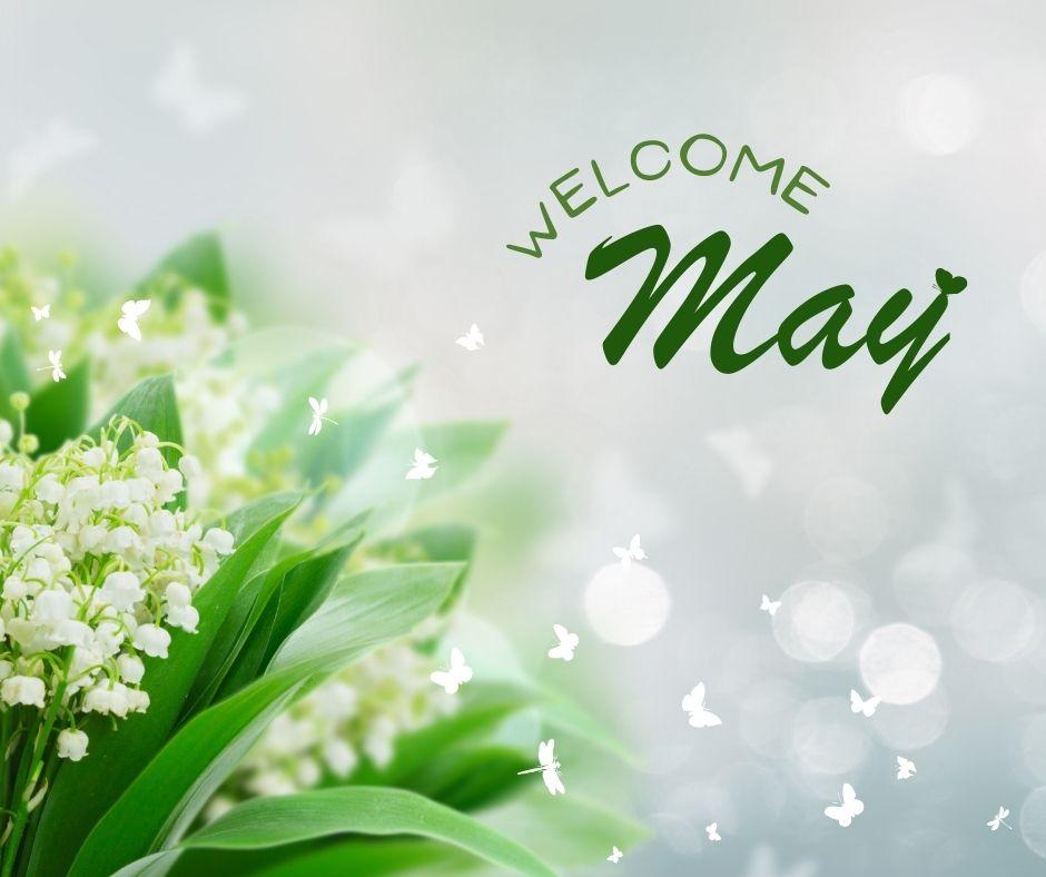 Hello May Hello May