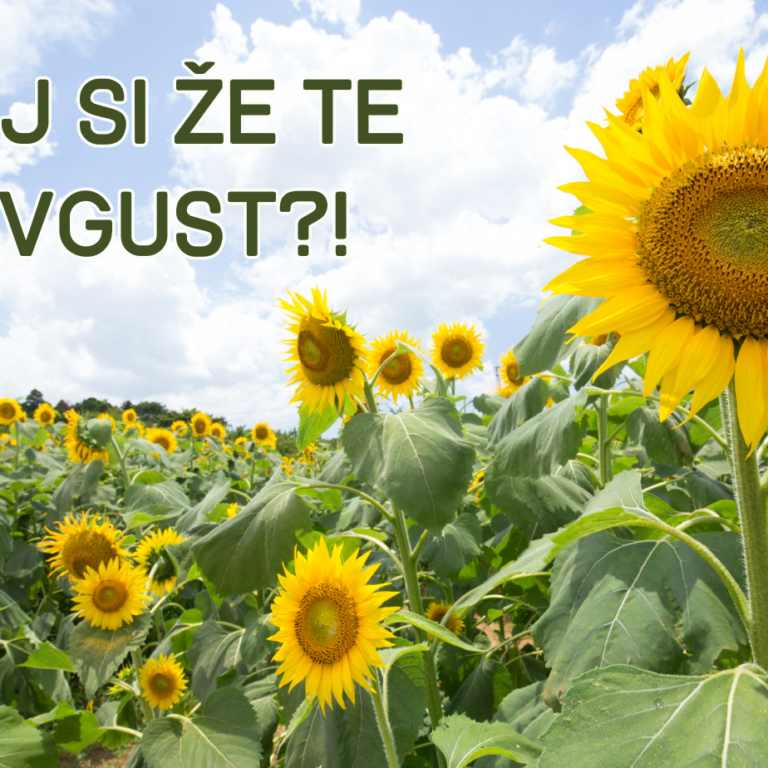 Kaj si že te Avgust!