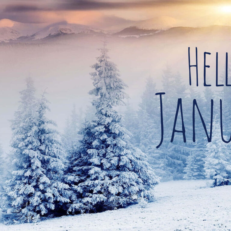 hello january miynddihqlvx hello january miynddihqlvx