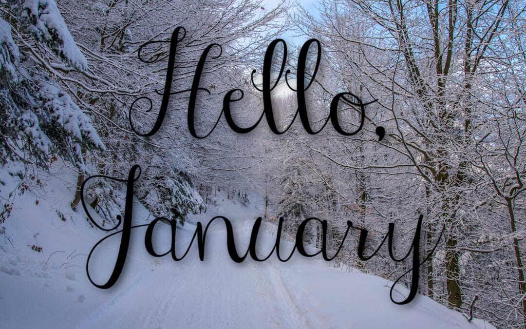 jan x jan x