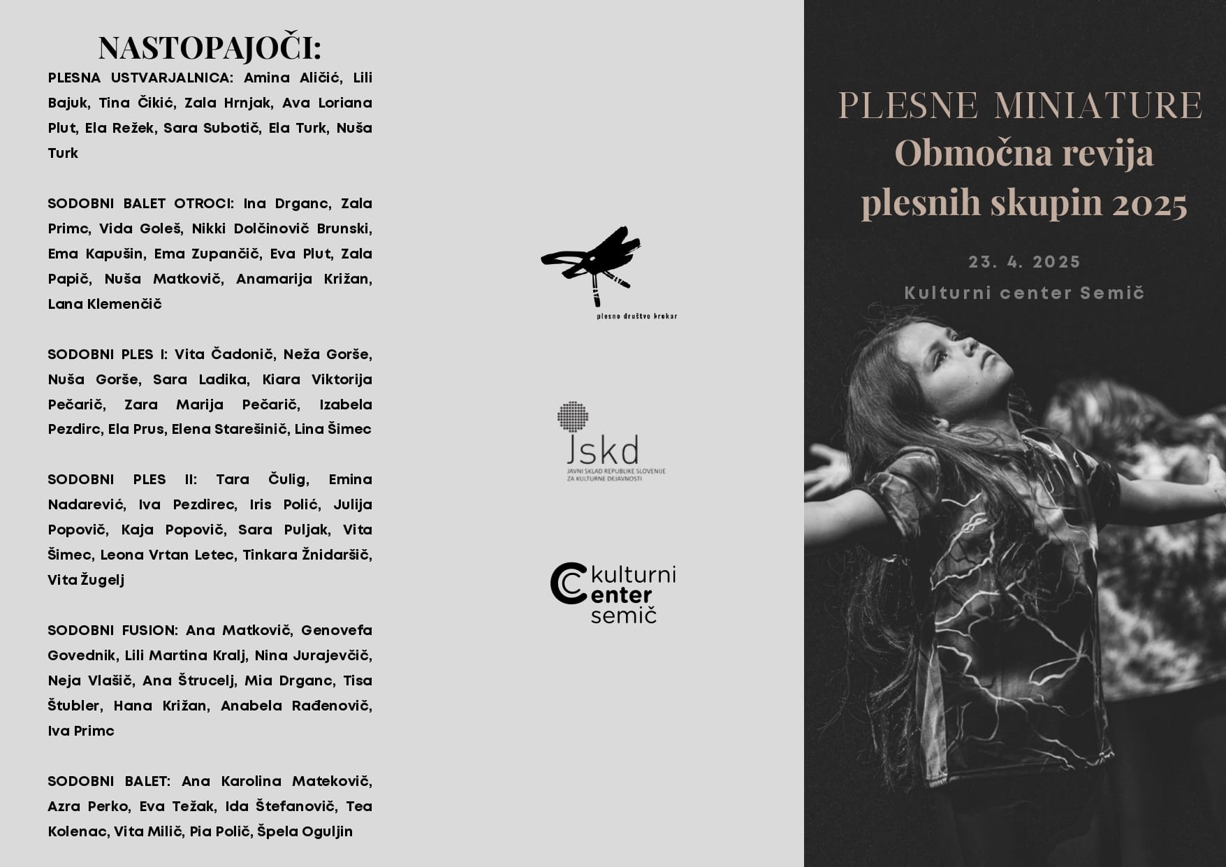 Obmocno srecanje plesnih re vij (A (Landscape)) () page