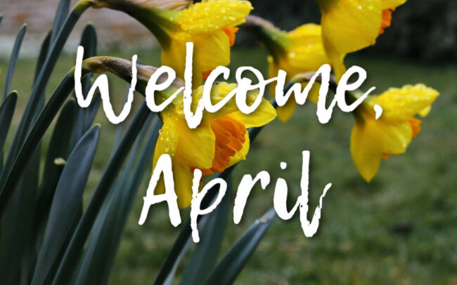 welcomeapr x