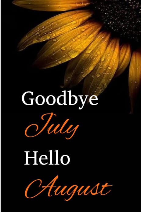 black goodbye july hello august poster design template bafabbbfabba screen