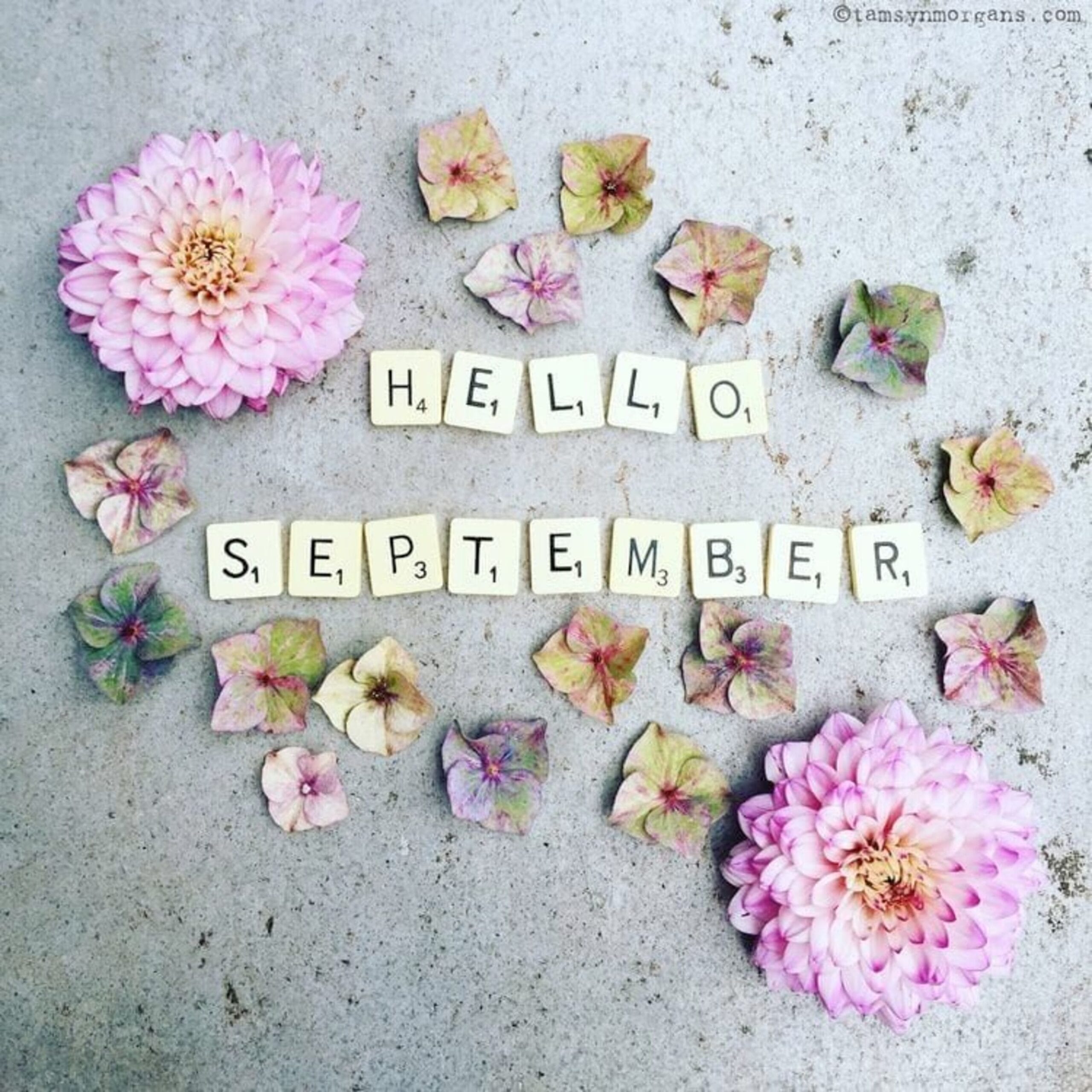 hello september hello september