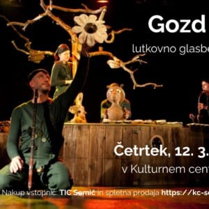 . . Gozd raja za TV in mailchip