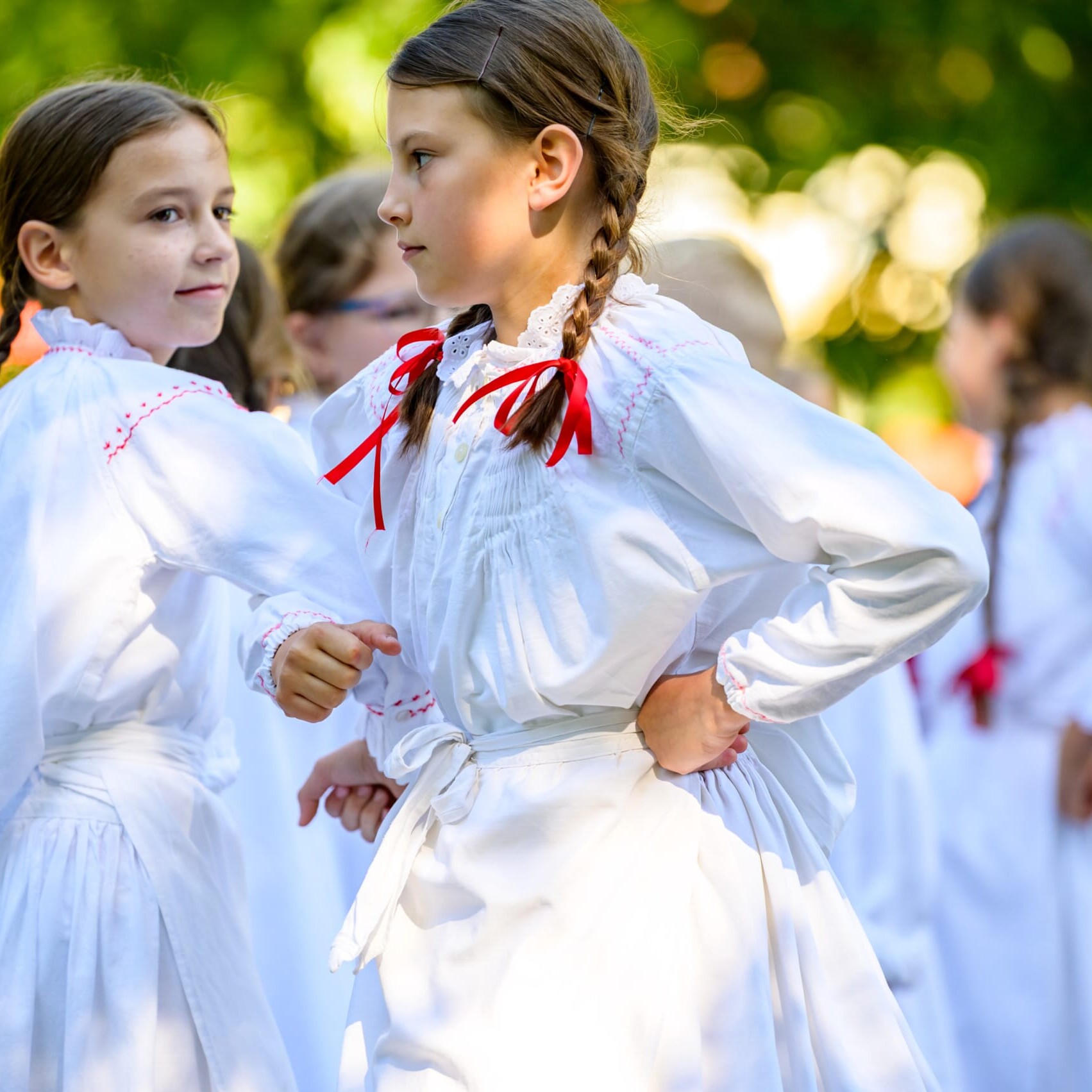 . Belokranjska razstava ovc in koz Foto Uros Novina