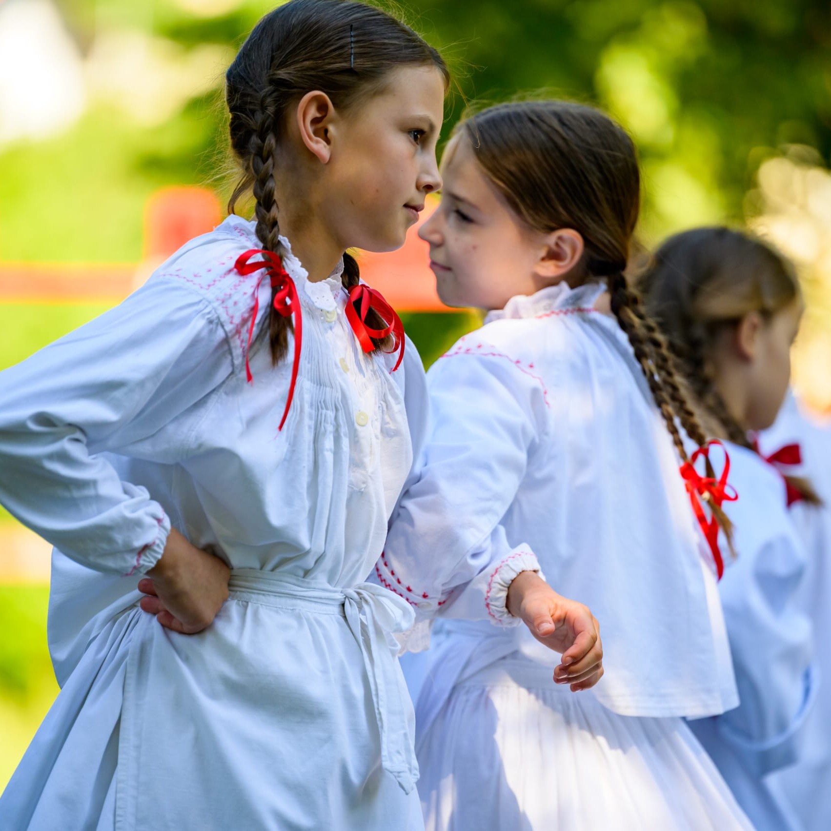 . Belokranjska razstava ovc in koz Foto Uros Novina