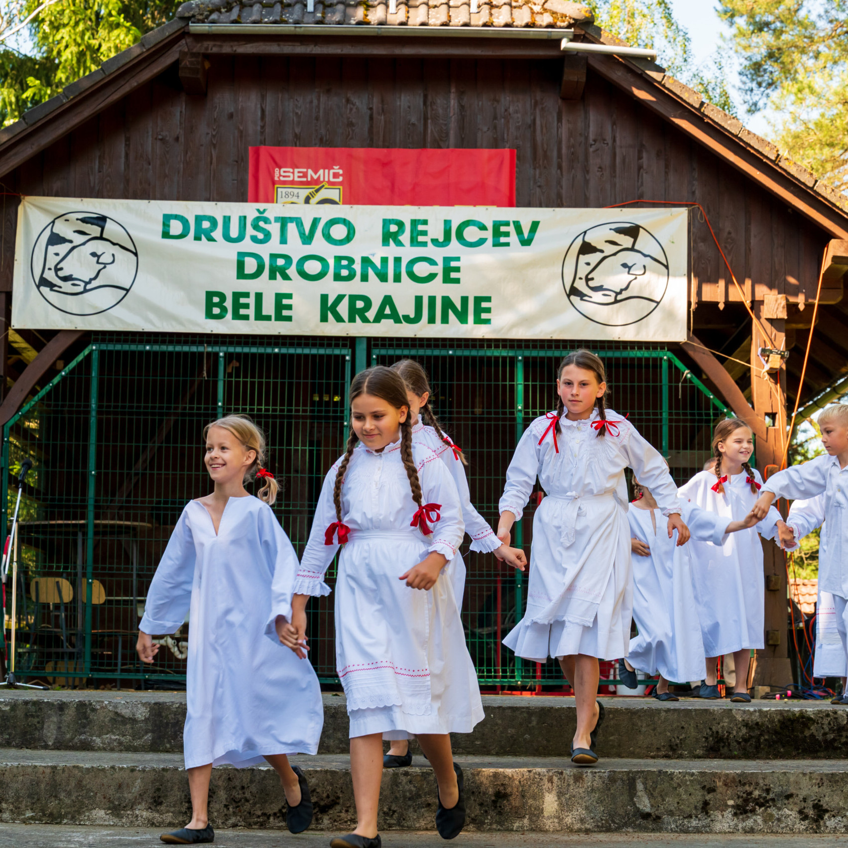 . Belokranjska razstava ovc in koz Foto Uros Novina