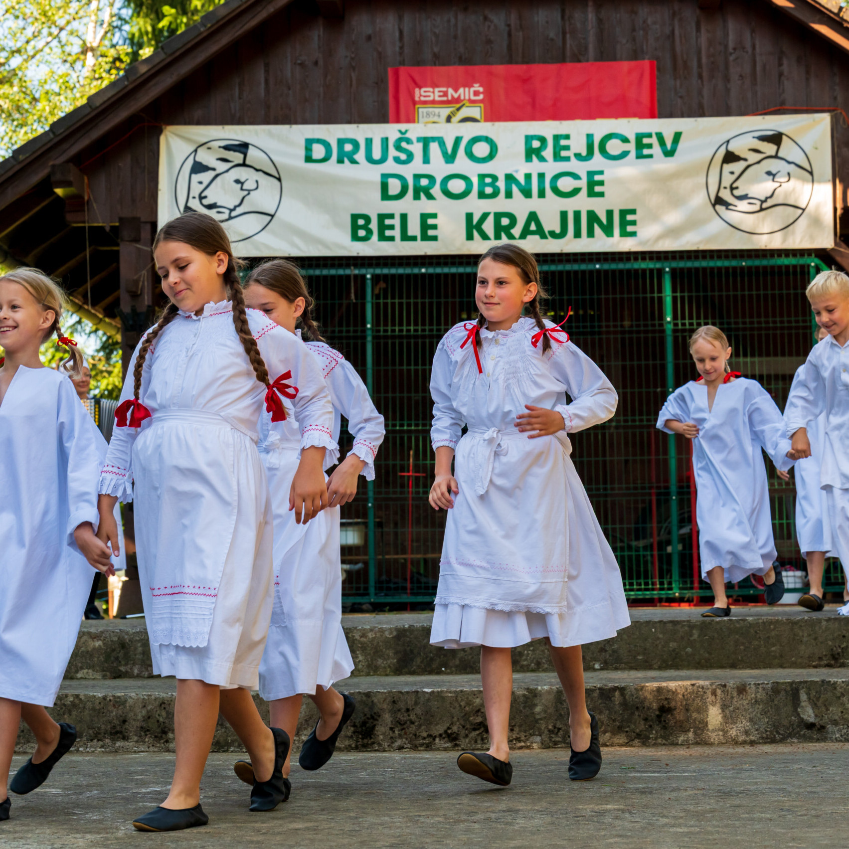 . Belokranjska razstava ovc in koz Foto Uros Novina