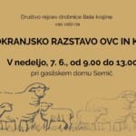 Belo. razstava ovc in koz za splet in TV ()
