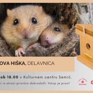 Polh in njegova hiška TV in dogodek face