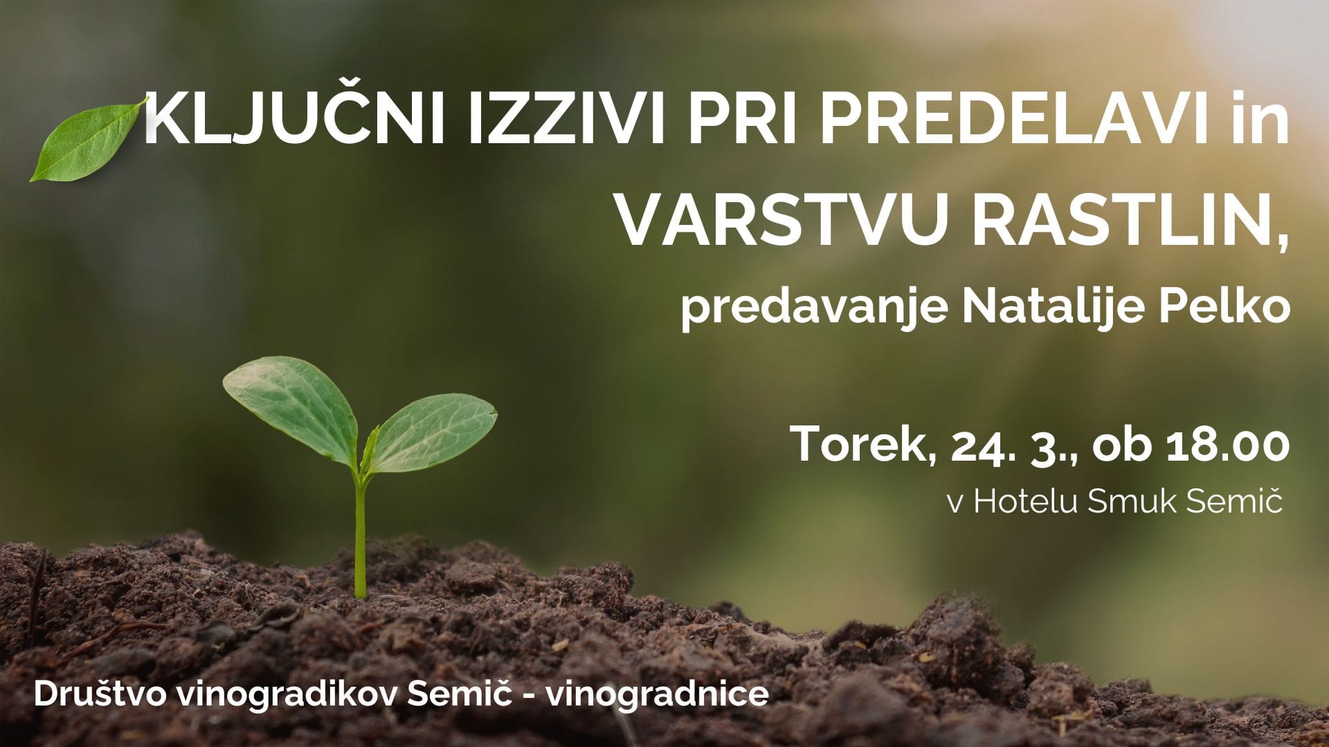 Predavanje . . vinogradnice