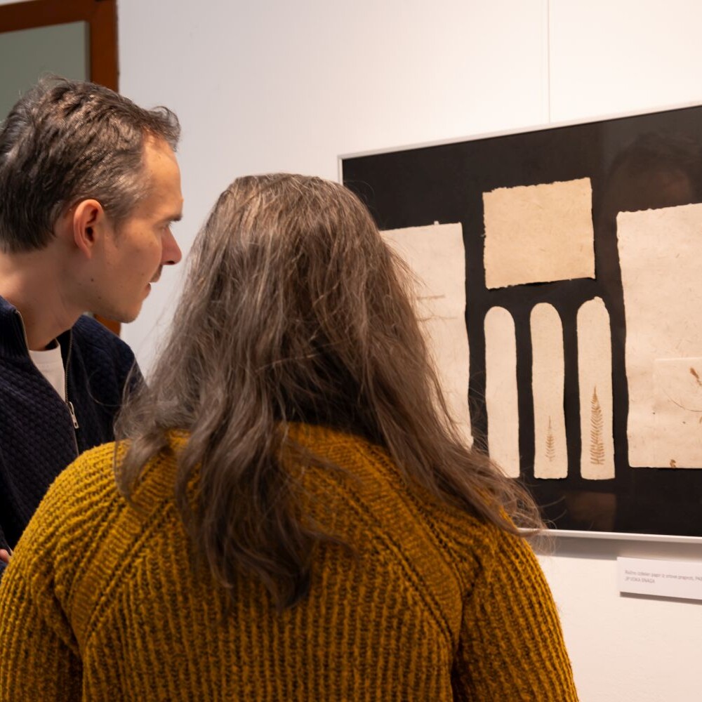 Razstava Zgodbe steljnikov, preplet orlove praproti živali in ljudi, Kulturni center Semič .. Tina Stariha, Smile Studio