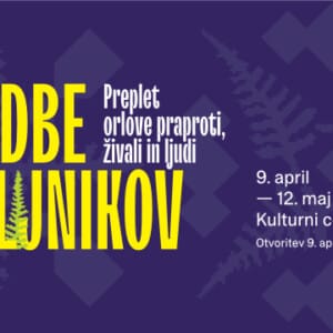 Steljniki KC Semič FB cover