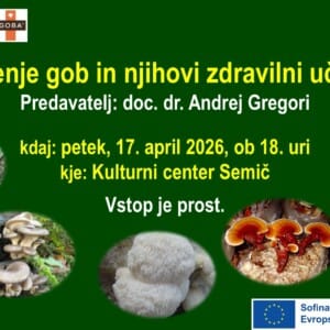 Vabilo FB Gojenje gob in njihovi zdravilni učinki ..