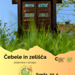 .. Svetovni dan čebel ( x pik)
