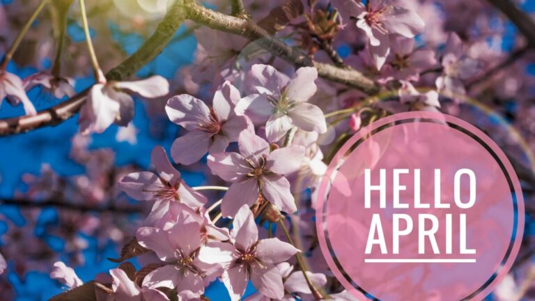 HelloApril AdobeStock x