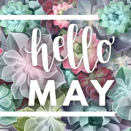 hello may succulent landscape xcpbxdkvyb hello may succulent landscape xcpbxdkvyb