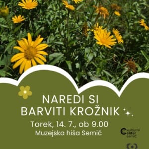 Delavnica Naredi si barviti krožnik ig