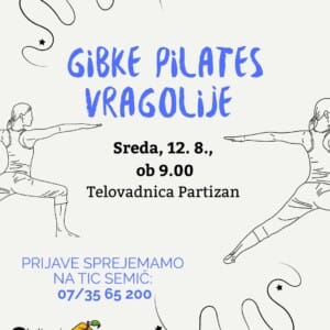 Gibke plates vragolije post ig