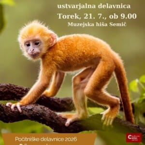 Opica se ziba ..