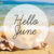hello june on the beach with starfish qwaapnqtl