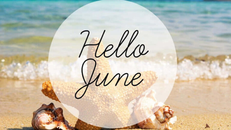 hello june on the beach with starfish qwaapnqtl