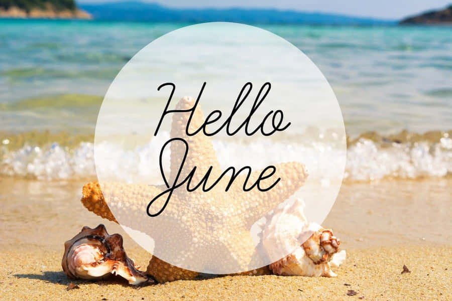 hello june on the beach with starfish qwaapnqtl