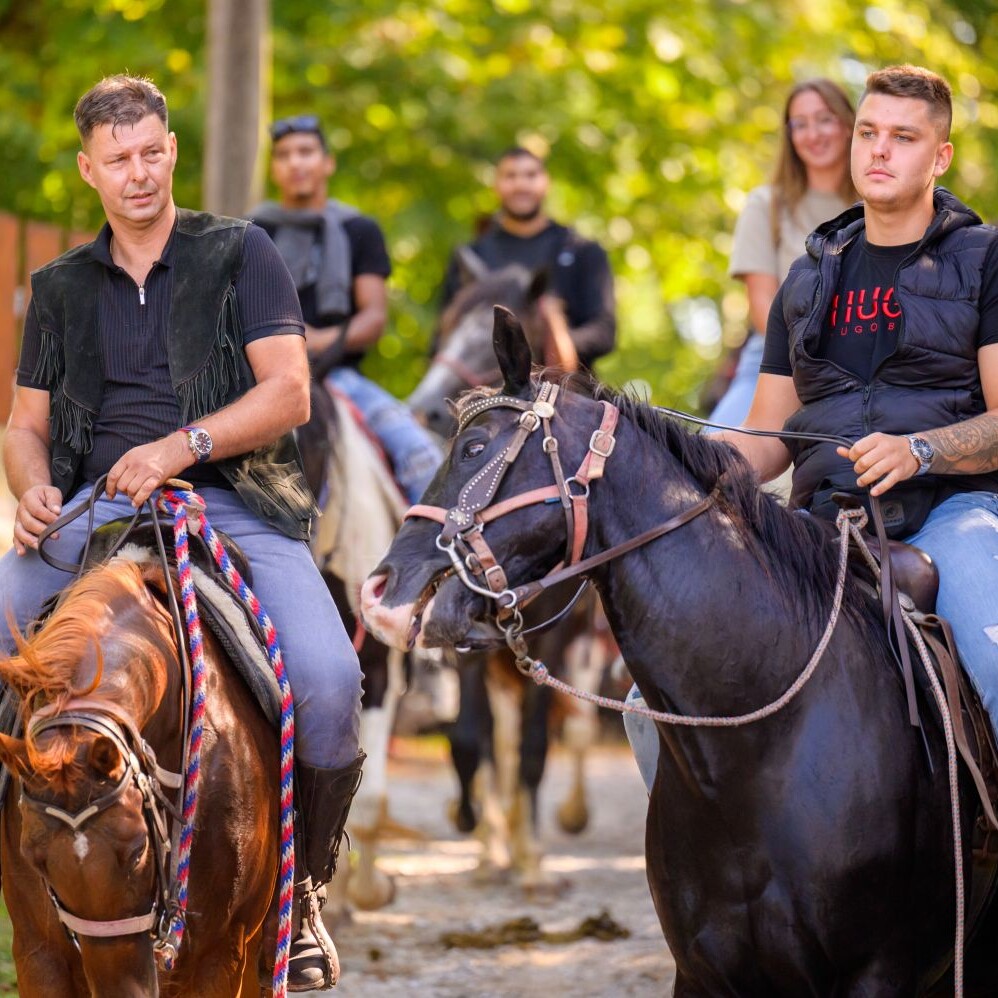 Sem'ska ohcet belokranjska razstava konj nedelja Foto Uros Novina