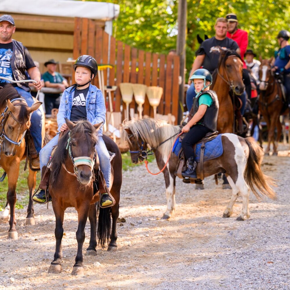 Sem'ska ohcet belokranjska razstava konj nedelja Foto Uros Novina
