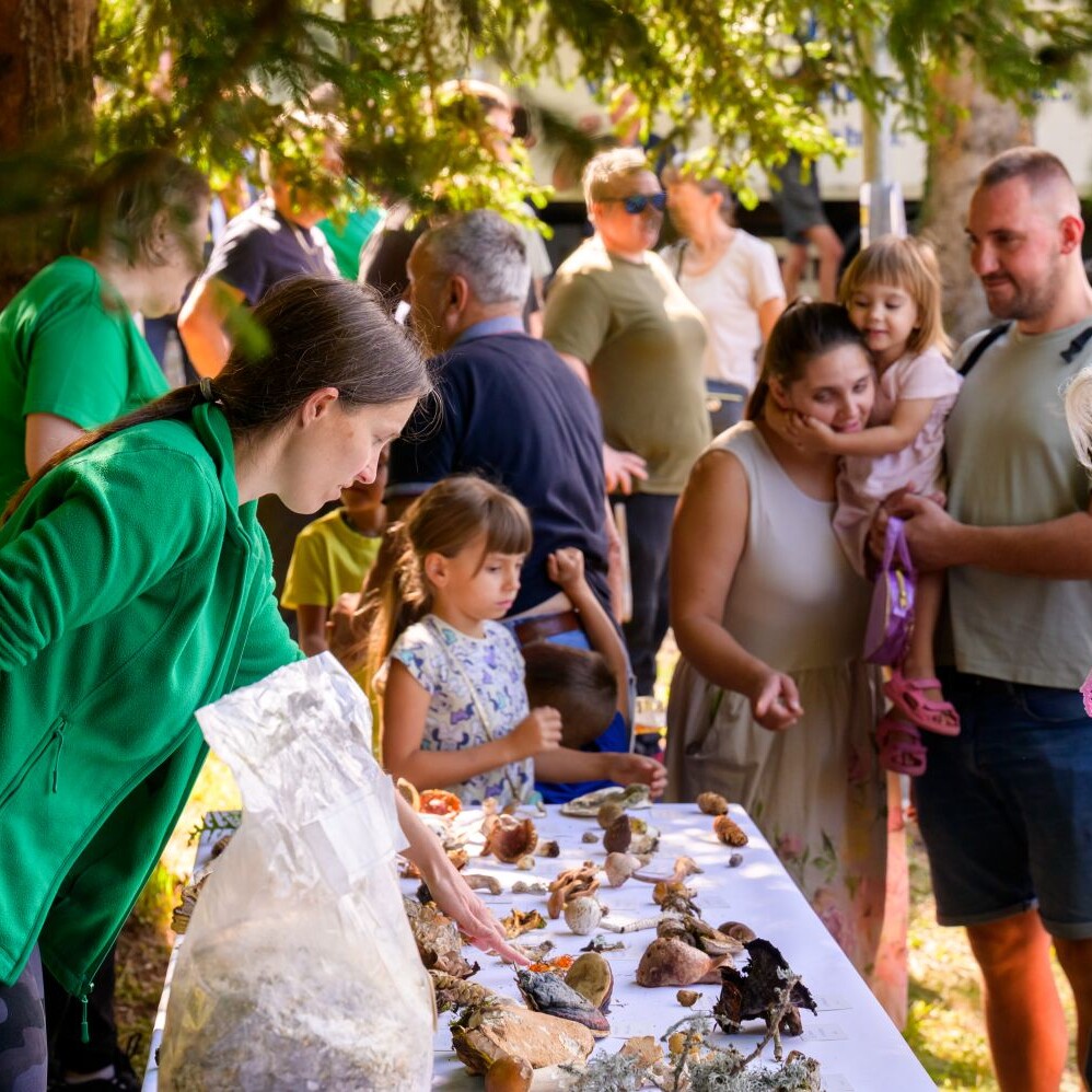 Sem'ska ohcet belokranjska razstava konj nedelja Foto Uros Novina