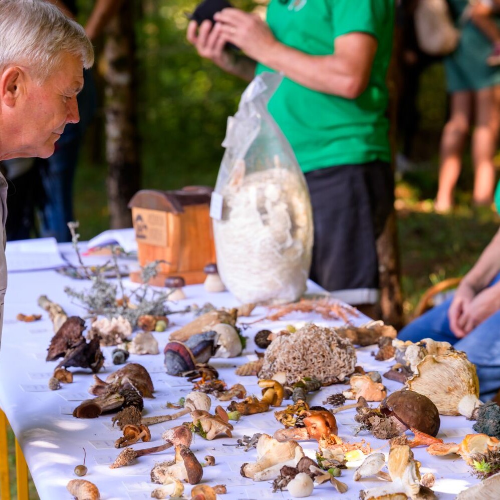 Sem'ska ohcet belokranjska razstava konj nedelja Foto Uros Novina