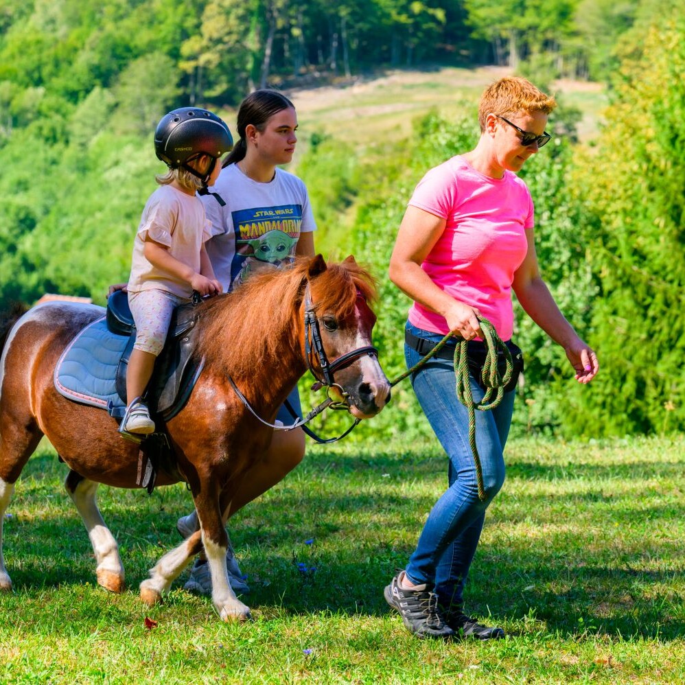 Sem'ska ohcet belokranjska razstava konj nedelja Foto Uros Novina