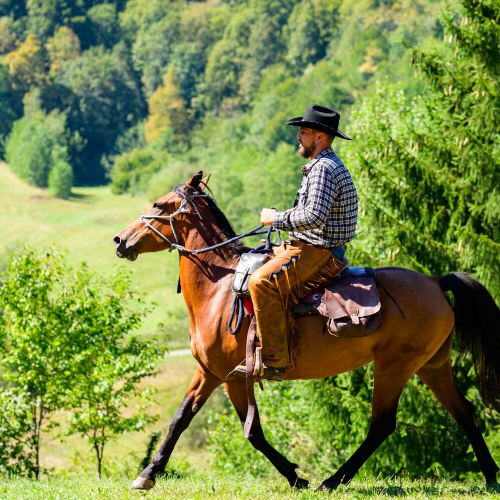 Sem'ska ohcet belokranjska razstava konj nedelja Foto Uros Novina