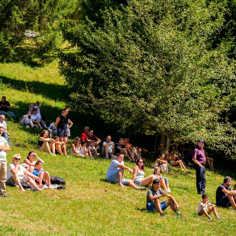 Sem'ska ohcet belokranjska razstava konj nedelja Foto Uros Novina