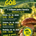 Razstava gob v Semiču page