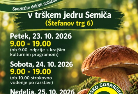 Razstava gob v Semiču page