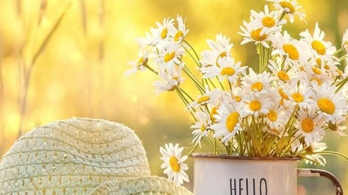 hello august design template ecceadcfaabcadd screen
