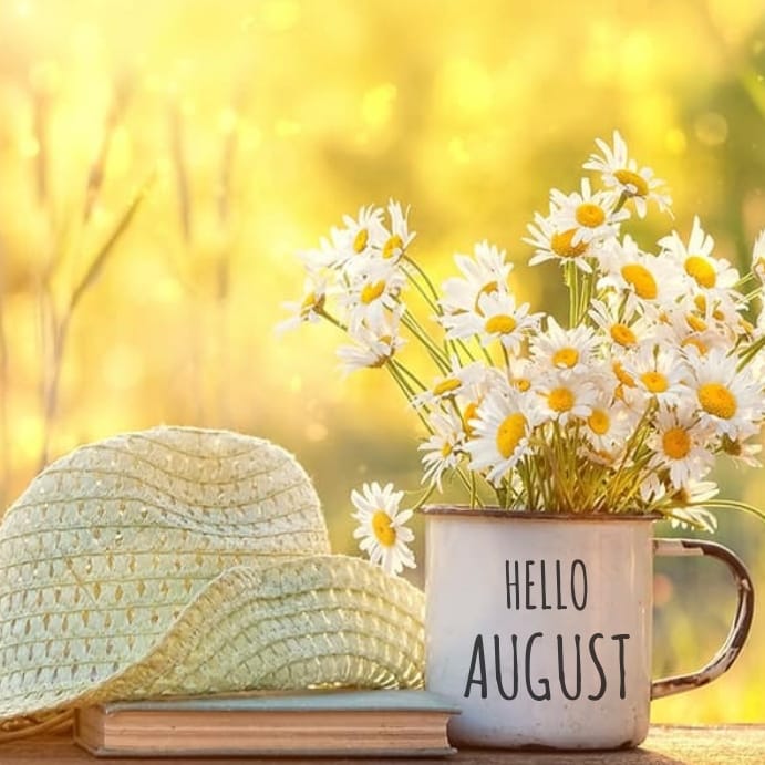 hello august design template ecceadcfaabcadd screen