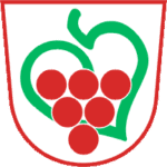 OBČINA semic TRANSPARENT