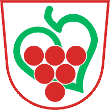 OBČINA semic TRANSPARENT